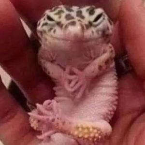 Meet your Posher, Raul